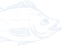 fish icon 2